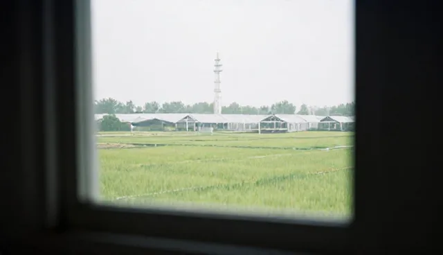 教育软件应用选型与维护中师资建设的关键建议